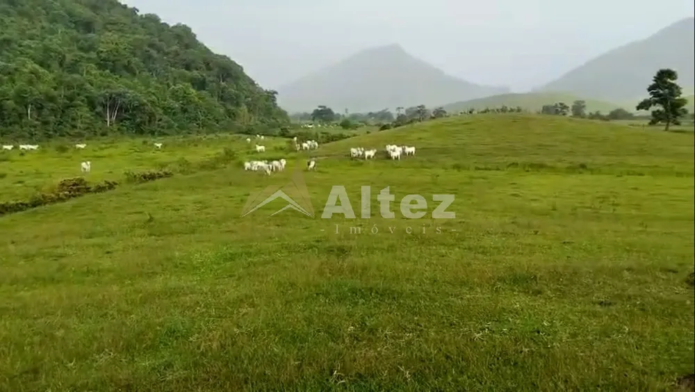 Fazenda, 566 hectares - Foto 4