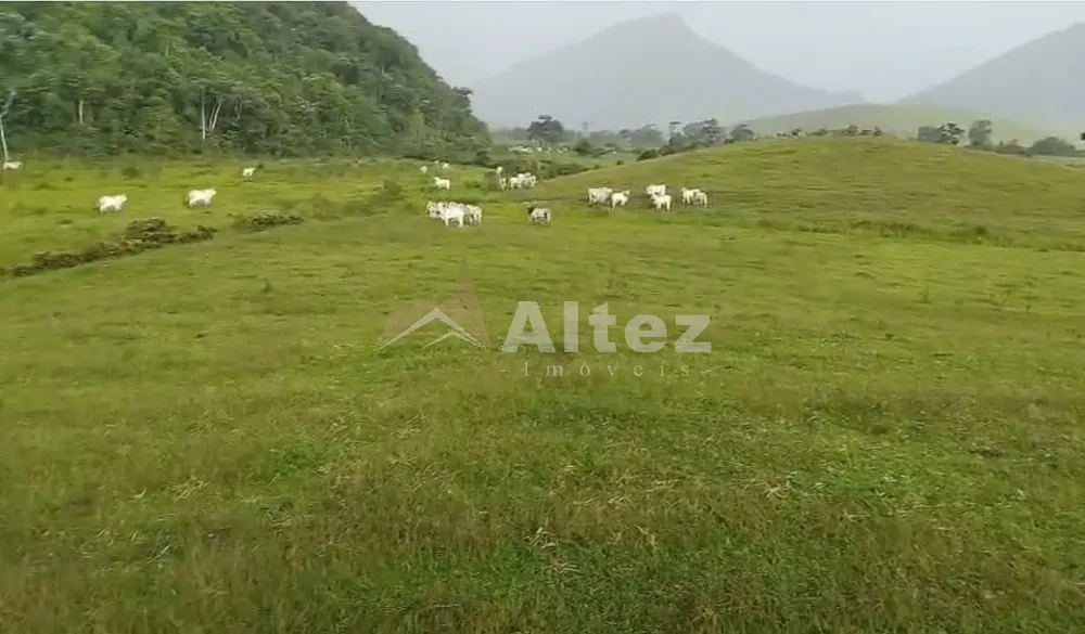 Fazenda, 566 hectares - Foto 3