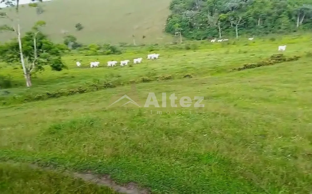 Fazenda, 566 hectares - Foto 2
