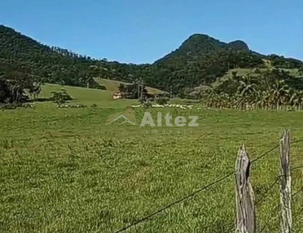 Fazenda, 566 hectares - Foto 6