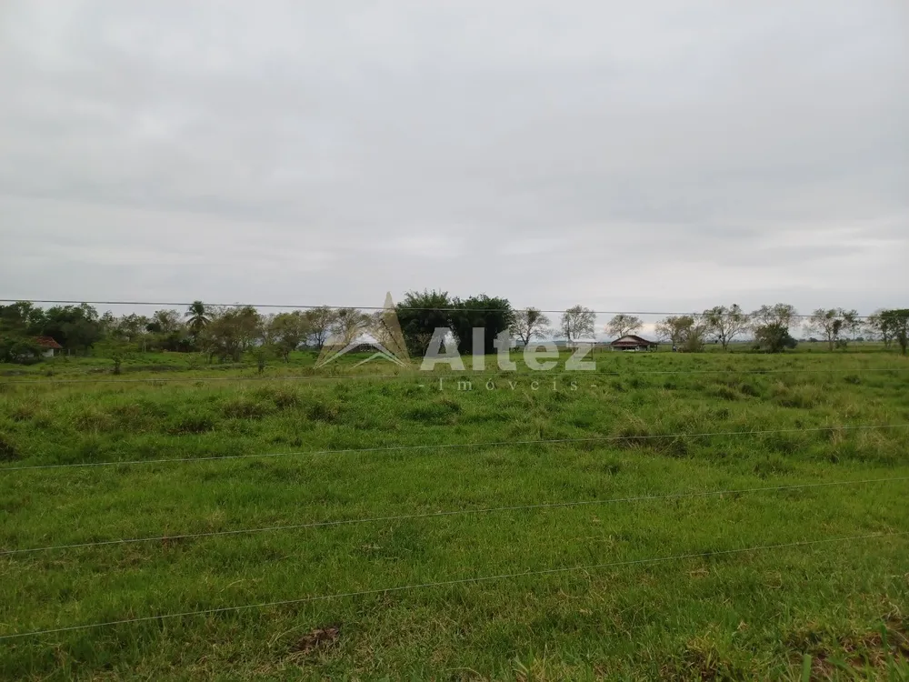 Fazenda, 847 hectares - Foto 5
