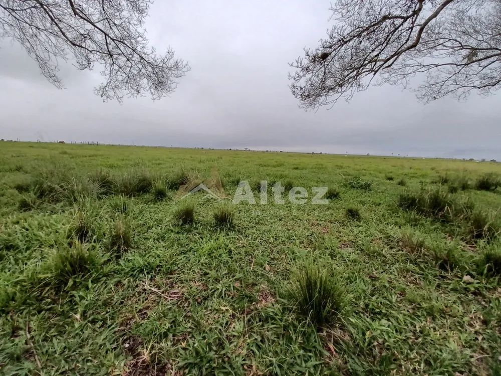 Fazenda, 847 hectares - Foto 9