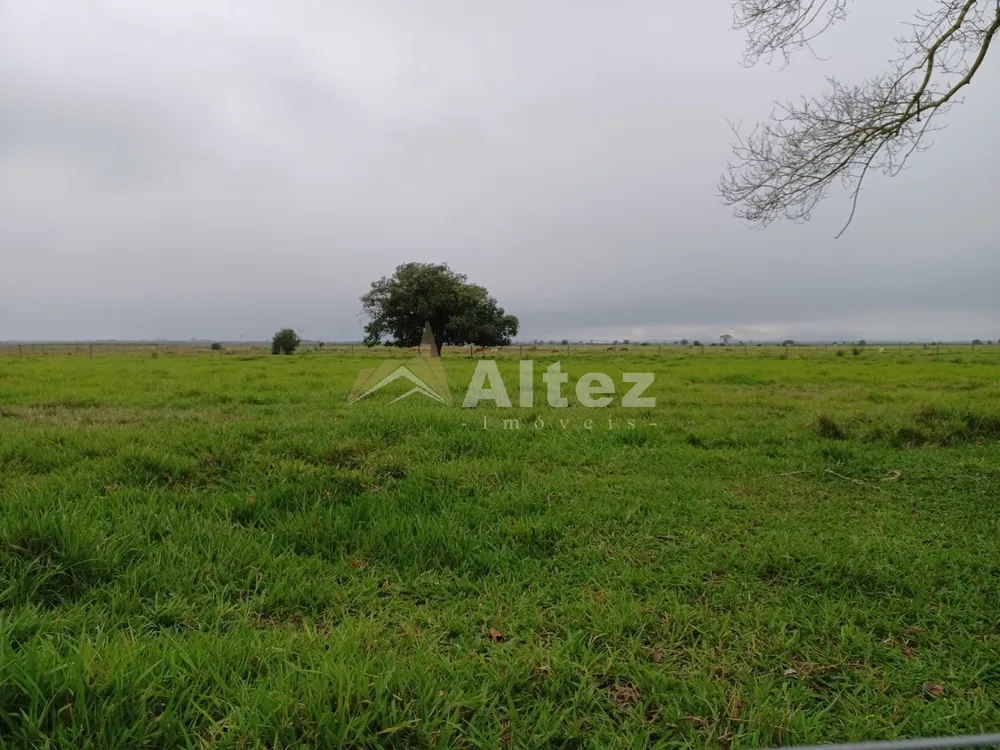Fazenda, 847 hectares - Foto 1