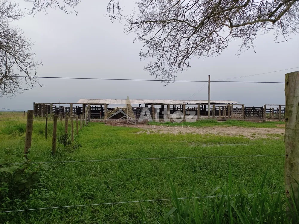 Fazenda, 847 hectares - Foto 2