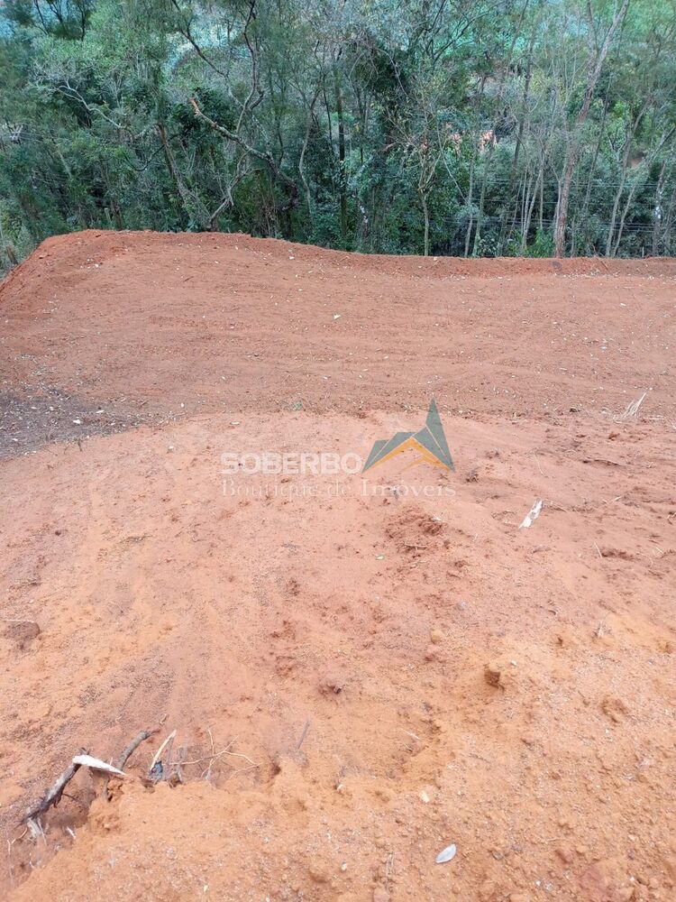 Terreno, 8 hectares - Foto 3