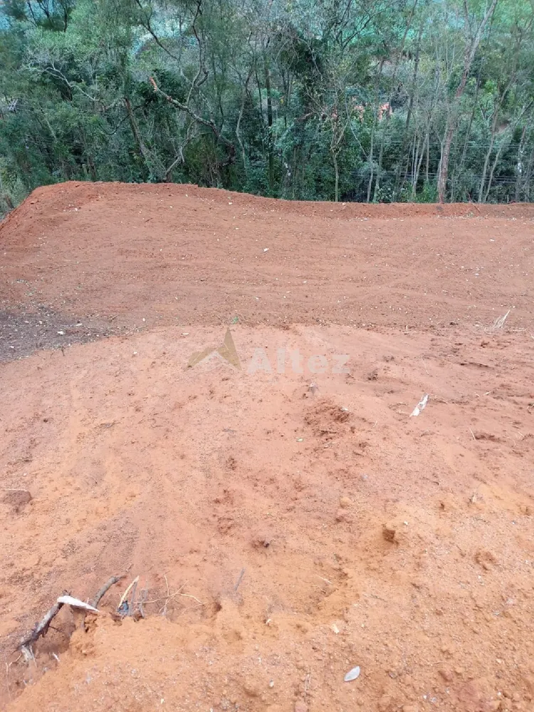 Terreno, 8 hectares - Foto 9