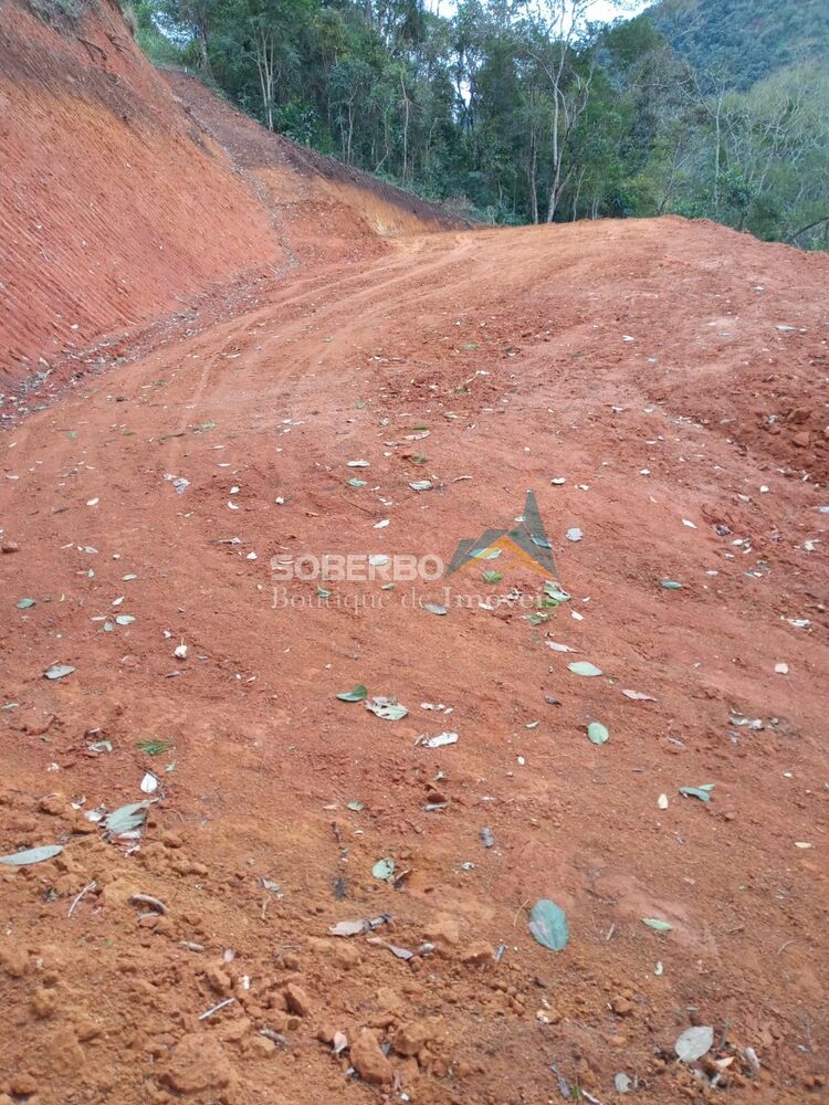 Terreno, 8 hectares - Foto 4