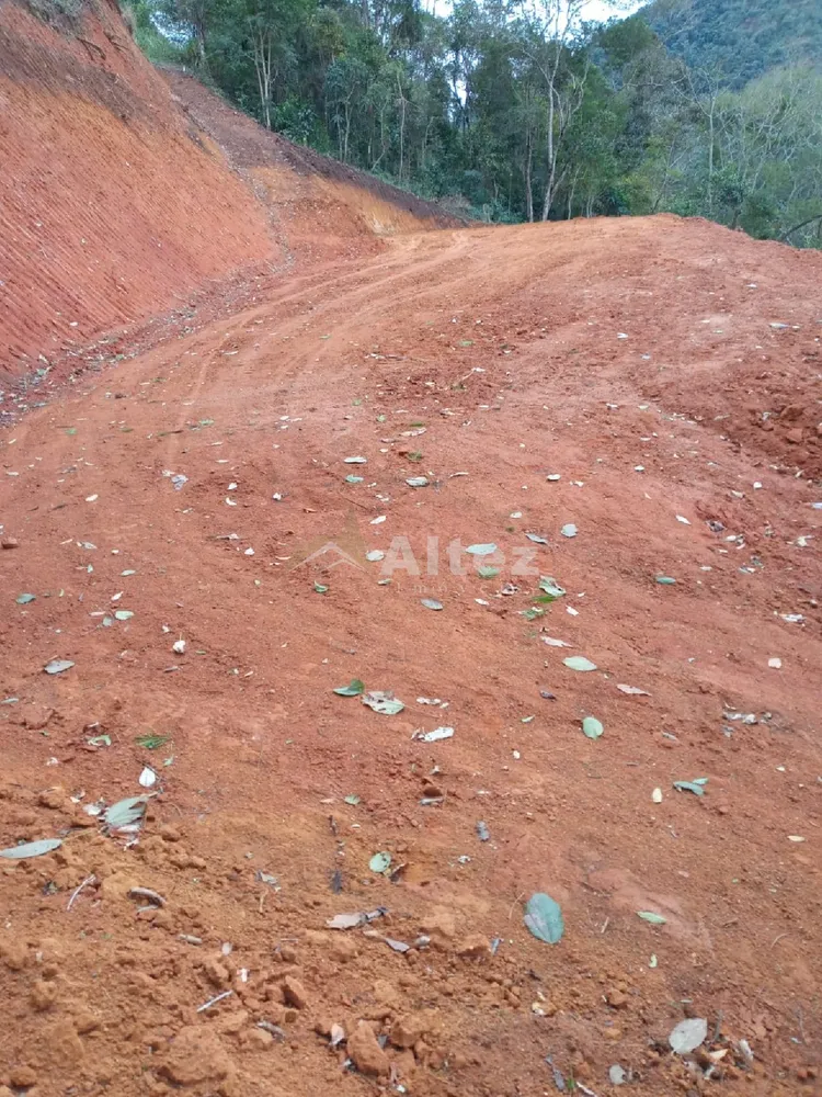 Terreno, 8 hectares - Foto 7