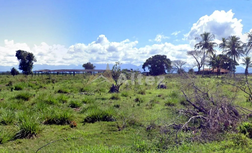 Fazenda, 649 hectares - Foto 9