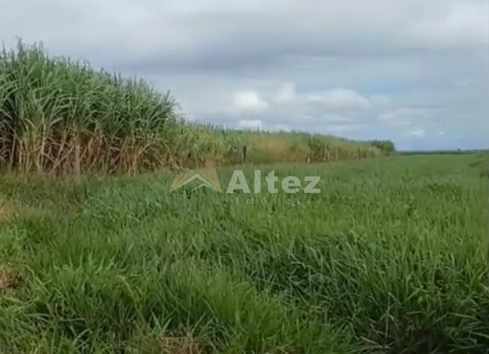 Fazenda, 649 hectares - Foto 4