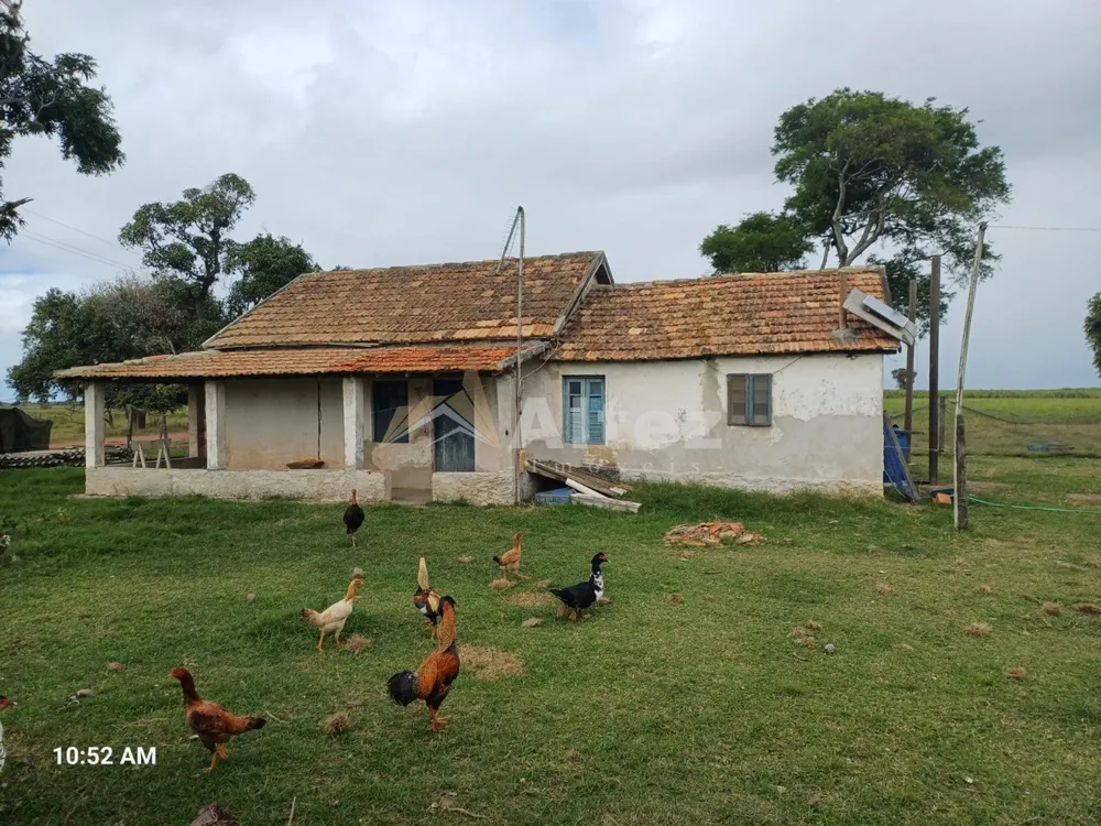 Fazenda, 649 hectares - Foto 7
