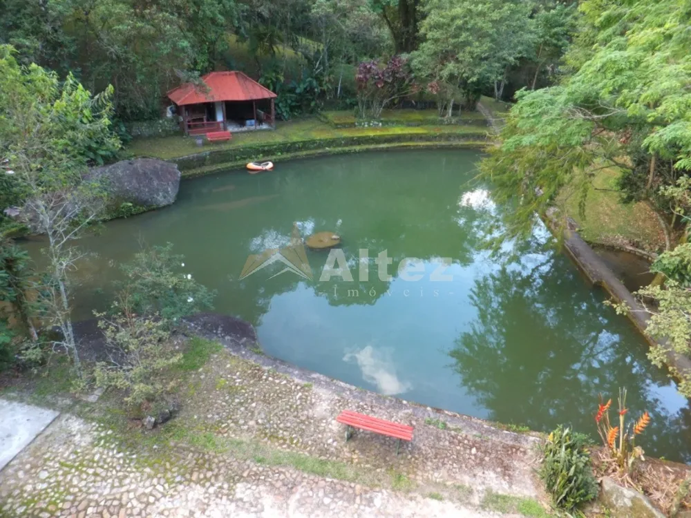Sítio, 6 quartos, 1 hectares - Foto 8