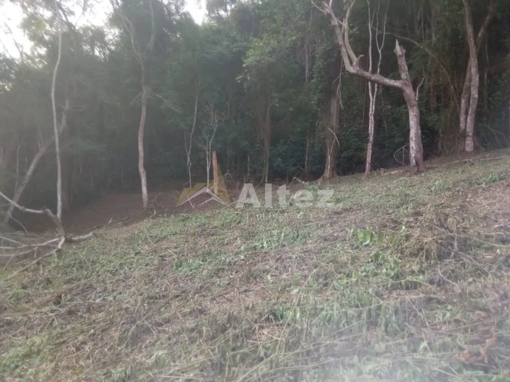 Terreno, 3 hectares - Foto 4