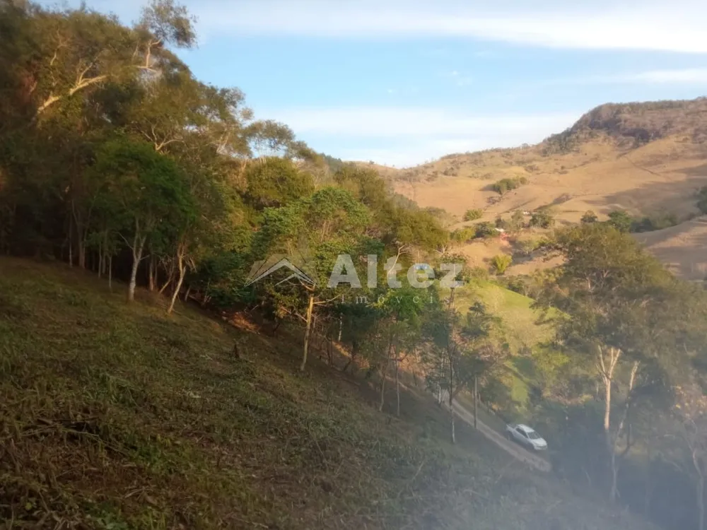 Terreno, 3 hectares - Foto 2
