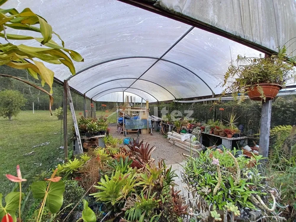 Casa, 4 quartos, 11733 m² - Foto 53