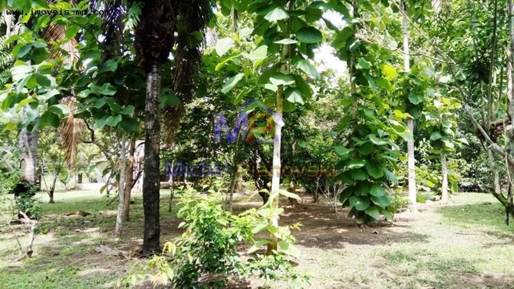 Sítio, 1 quarto, 10 hectares - Foto 6