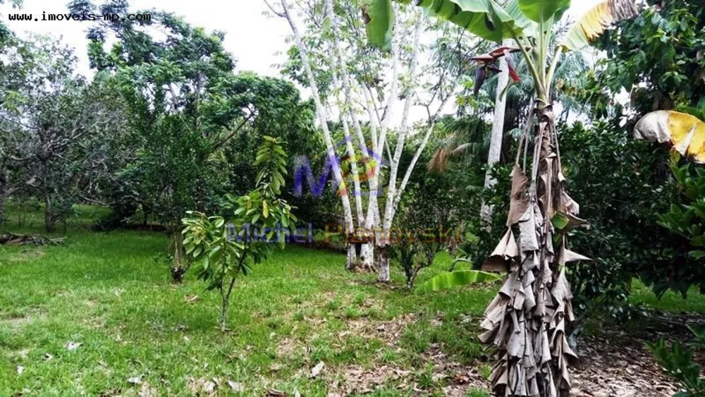 Sítio, 1 quarto, 10 hectares - Foto 10