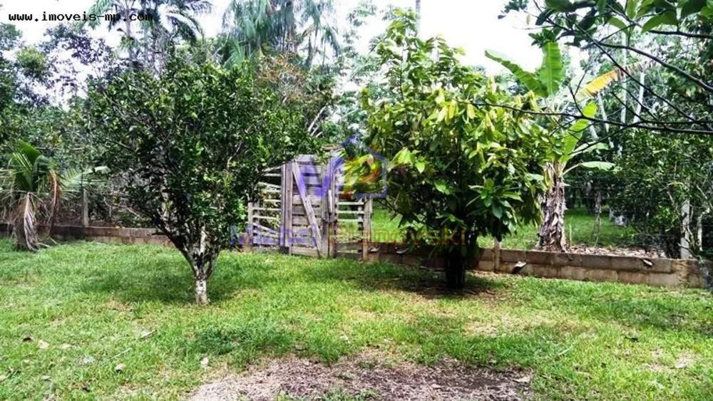 Sítio, 1 quarto, 10 hectares - Foto 9