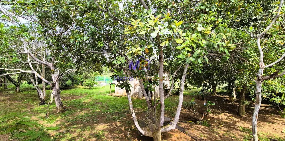 Chácara, 2 quartos - Foto 20