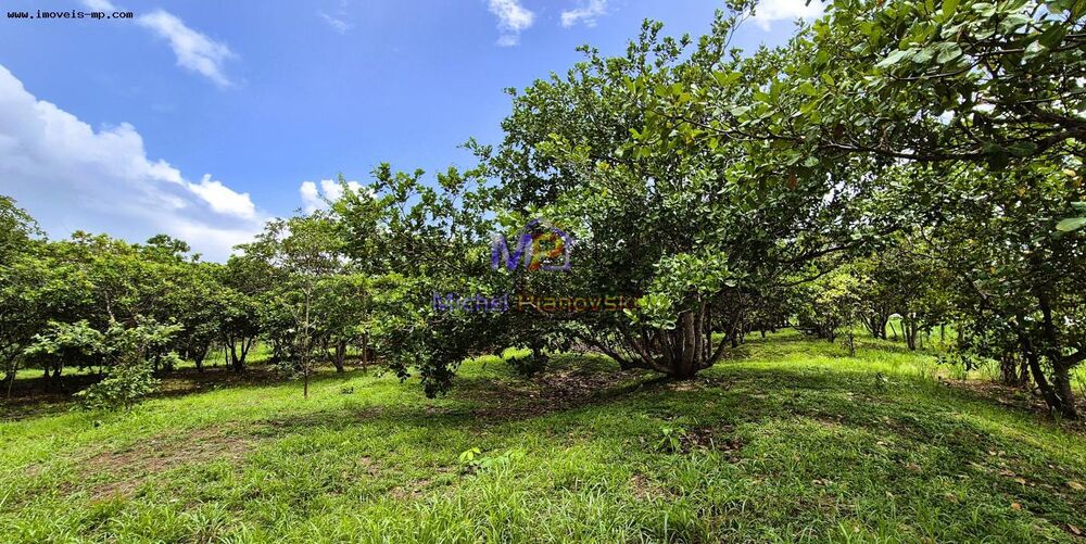 Chácara, 2 quartos - Foto 12