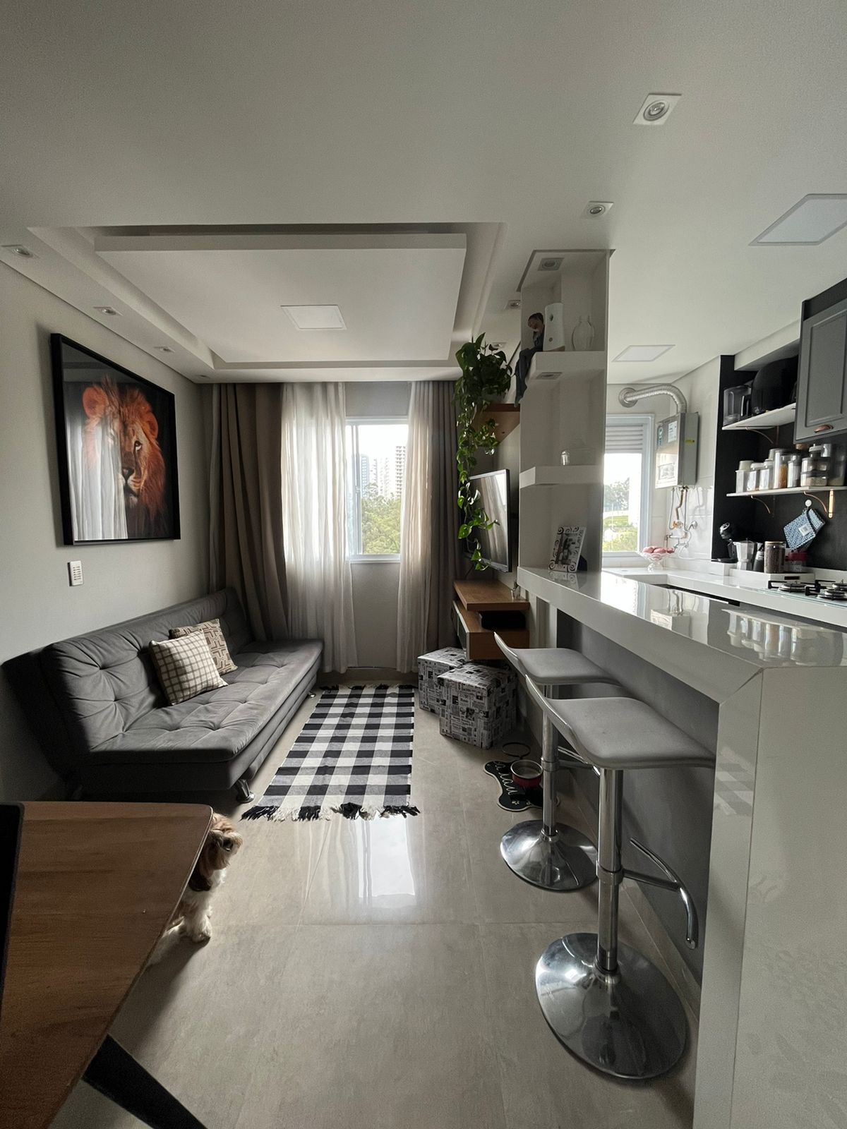 Apartamento à venda com 2 quartos, 40m² - Foto 6