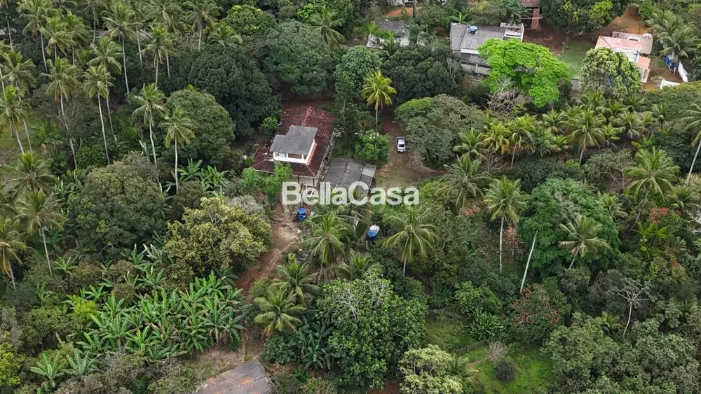 Terreno, 13 hectares - Foto 6