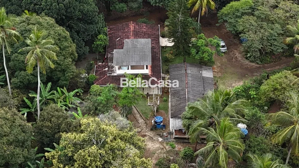 Terreno, 13 hectares - Foto 4