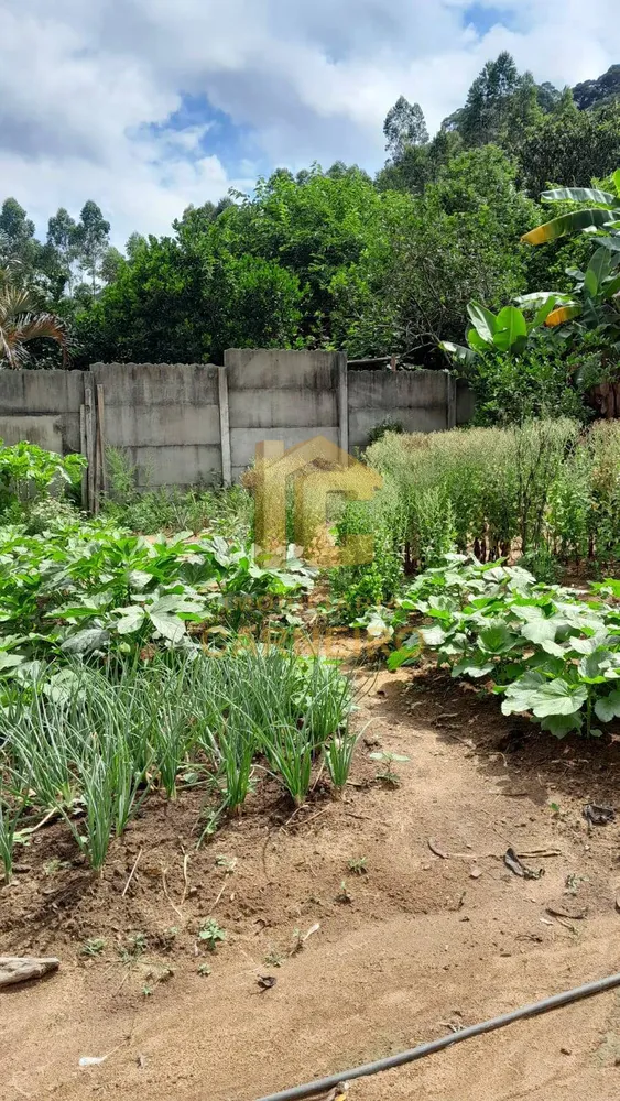 Sítio, 3 quartos, 4 m² - Foto 15