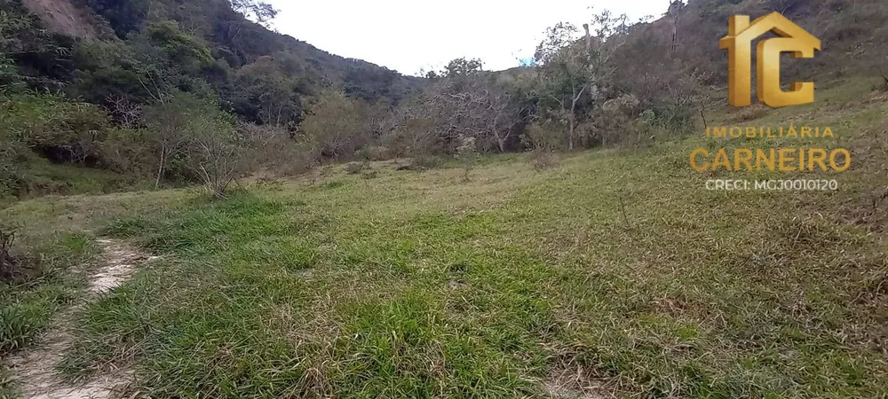 Terreno, 17 hectares - Foto 3
