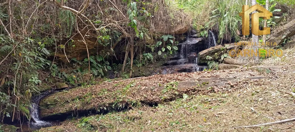 Terreno, 17 hectares - Foto 4