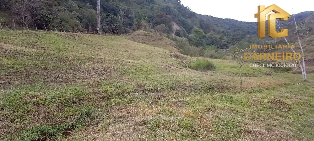 Terreno, 17 hectares - Foto 2
