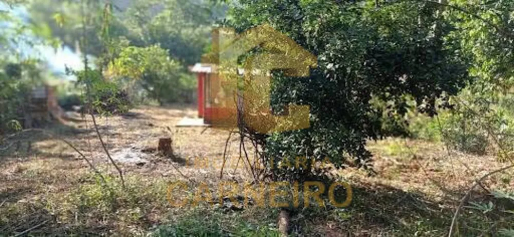 Chácara, 2 quartos, 1980 m² - Foto 12