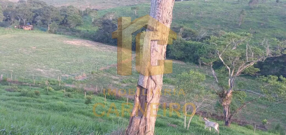 Fazenda, 176 m² - Foto 14