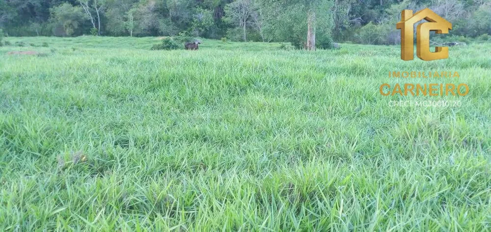 Fazenda, 176 m² - Foto 13