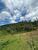 Terreno, 2 hectares - Foto 4