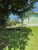 Terreno, 852 m² - Foto 3