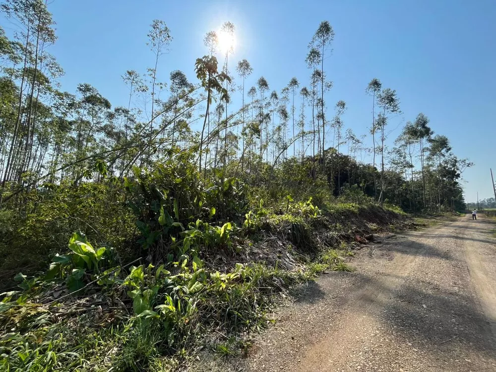 Terreno à venda, 5000m² - Foto 2