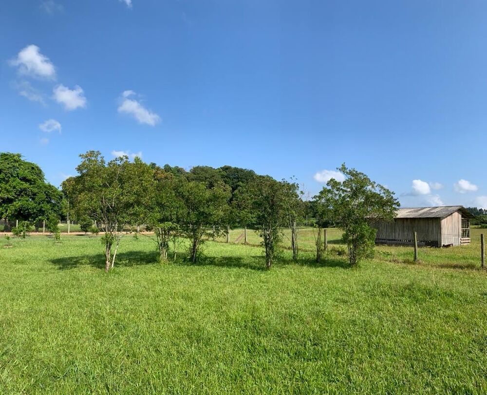 Sítio à venda, 35000m² - Foto 3