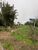 Terreno, 384 m² - Foto 6