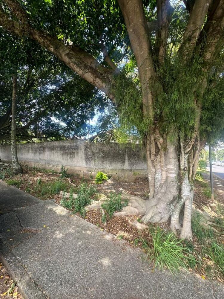 Terreno, 500 m² - Foto 1