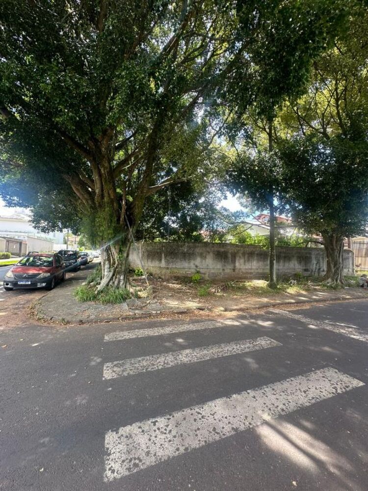 Terreno, 500 m² - Foto 4