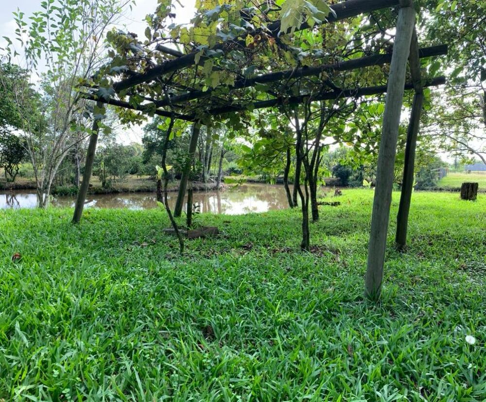 Sítio, 1 quarto, 4 hectares - Foto 6