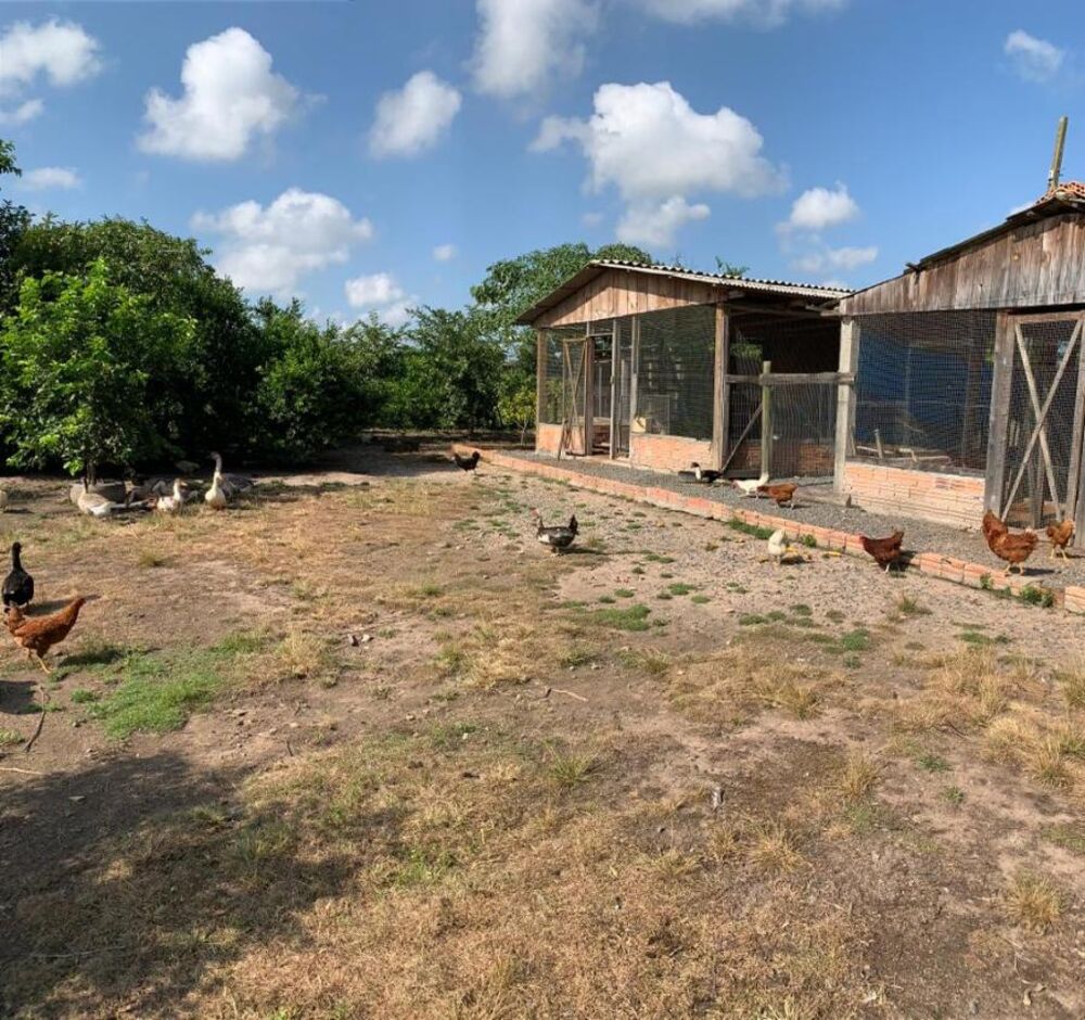 Sítio, 1 quarto, 4 hectares - Foto 2