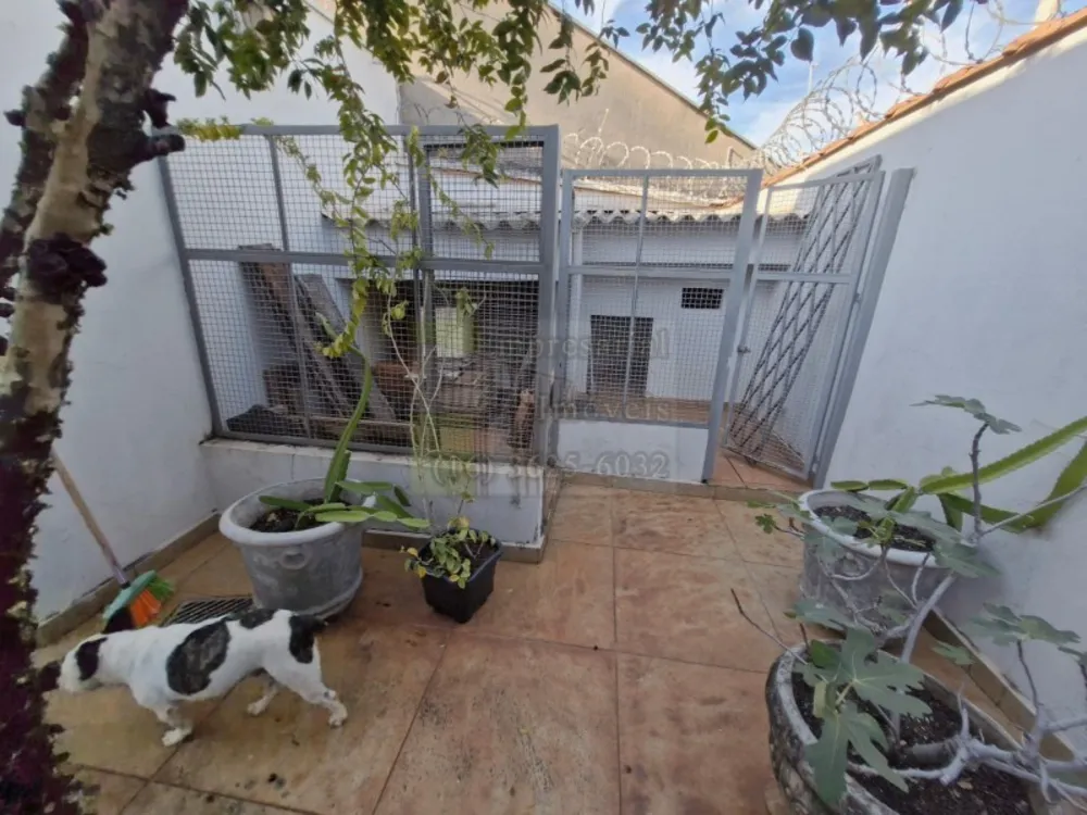 Casa, 4 quartos, 180 m² - Foto 4