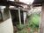 Casa, 1 quarto, 50 m² - Foto 2