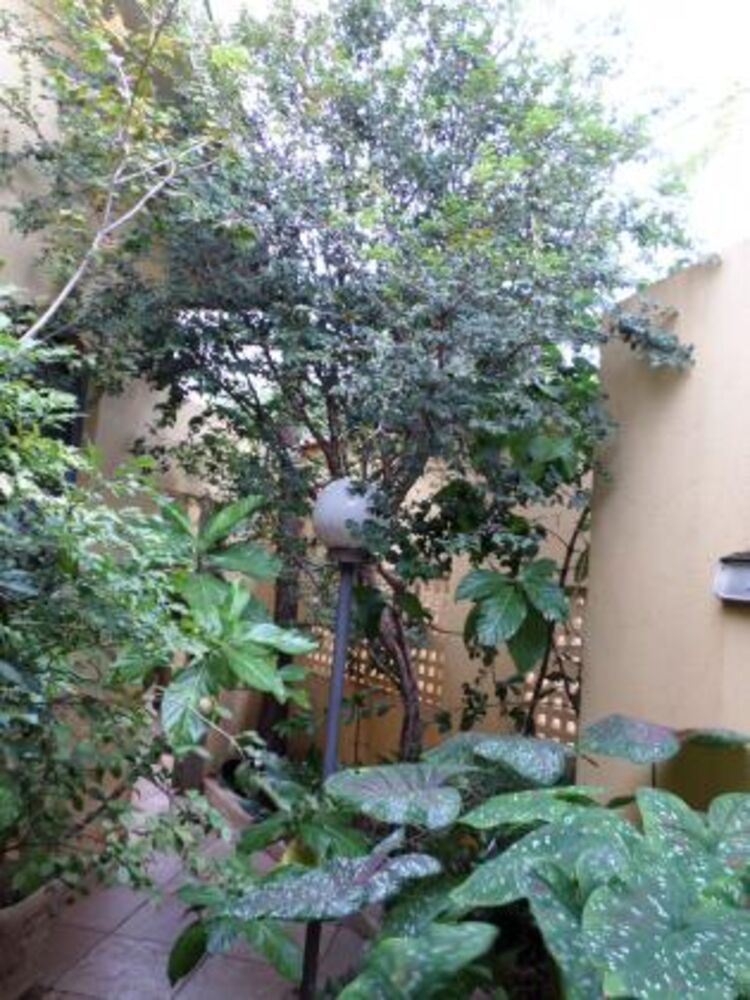 Casa à venda com 3 quartos - Foto 3