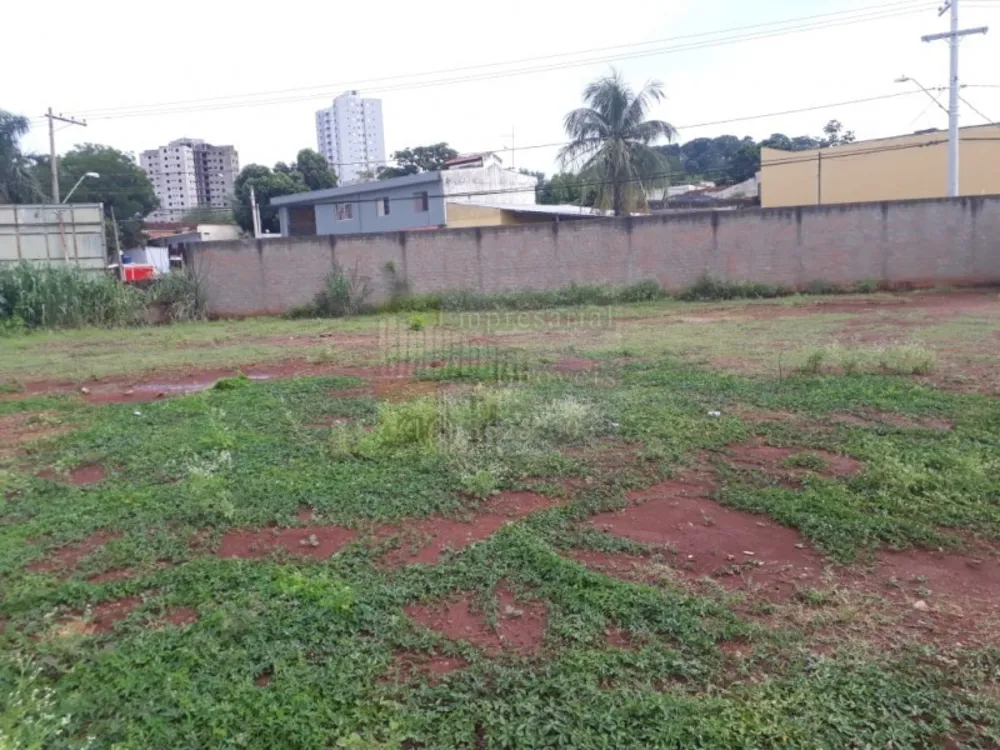 Terreno, 2000 m² - Foto 5