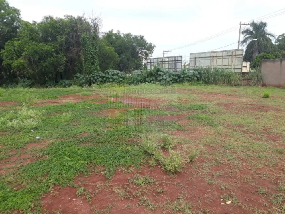 Terreno, 2000 m² - Foto 4