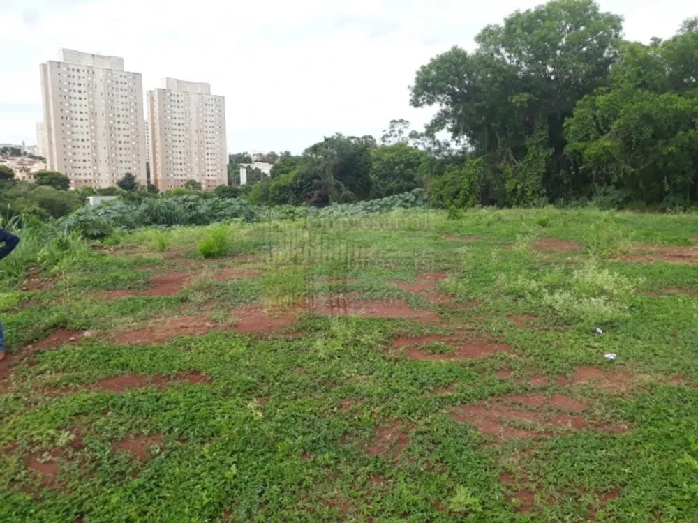 Terreno, 2000 m² - Foto 3