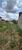Terreno, 391 m² - Foto 4